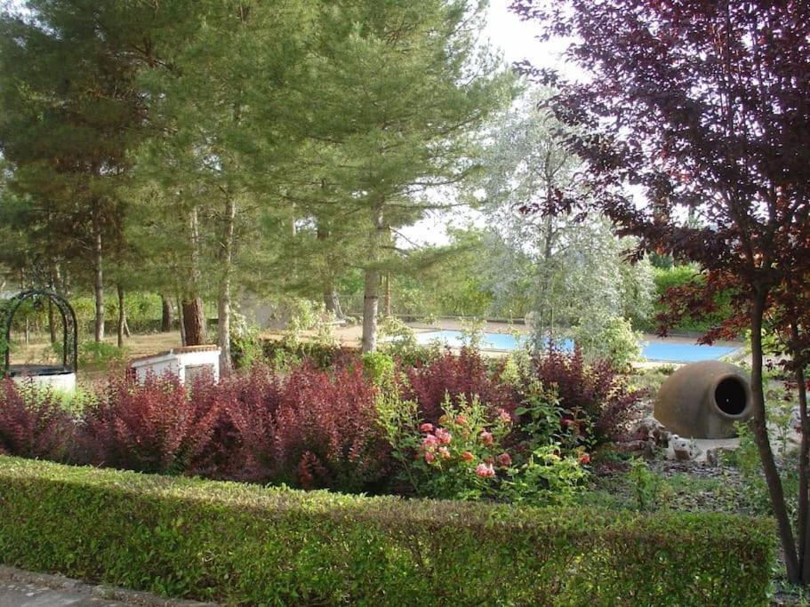 Villa Antares Para 2 A 10 Personas En Renera Exteriér fotografie